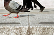 Matt Stuart | Look Both Ways | Gallery Opening and Reception | Thu, Mar 31, 2016 | 7:30pm - 9:30pm