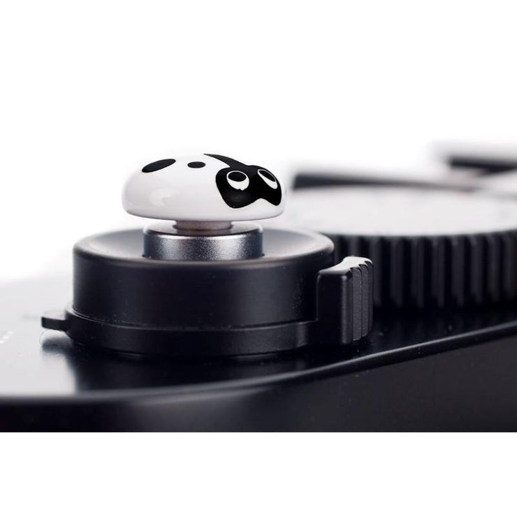 Bug Soft Release - White