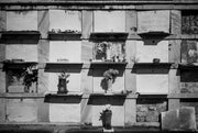 New Orleans Monochrom Workshop with Richard Sexton | Thurs, Mar. 10 - Sun, Mar. 13, 2016