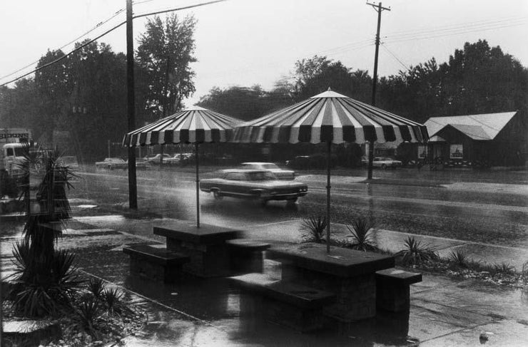 William Eggleston: From Black and White to Color